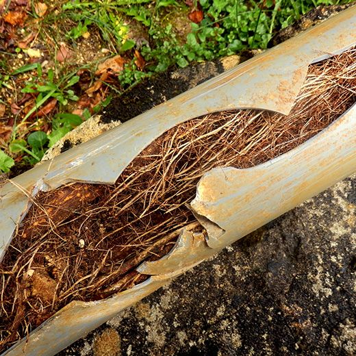 Same Day Drain Sewer & Rooter Pros Across Salisbury